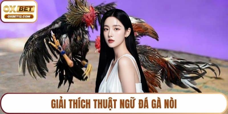 Đá gà nòi 